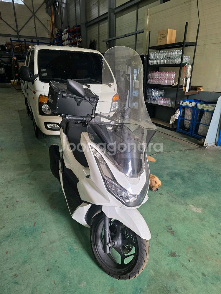 혼다 22년형 pcx (2500km)--0