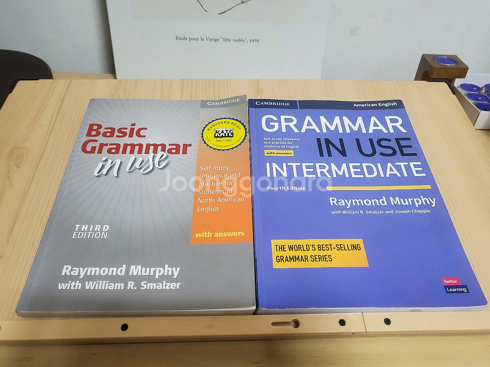 grammar in use 그래머 인 유즈--0