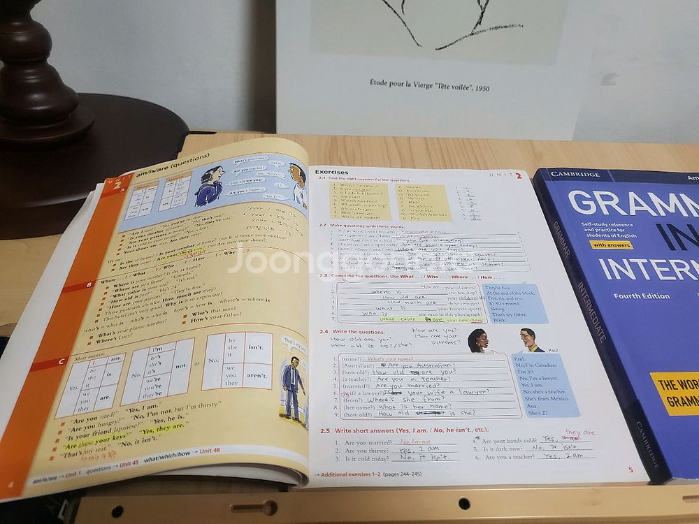 grammar in use 그래머 인 유즈--1