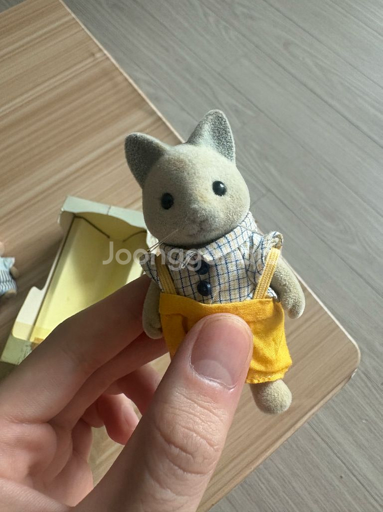실바니안 올드 샴고양이--1