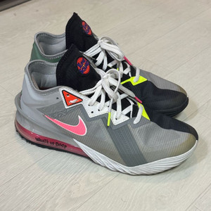 Nike LeBron 18 Low Bugs vs Mar