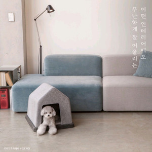 건축가가 만든 친환경 baubau 강아지 하우스