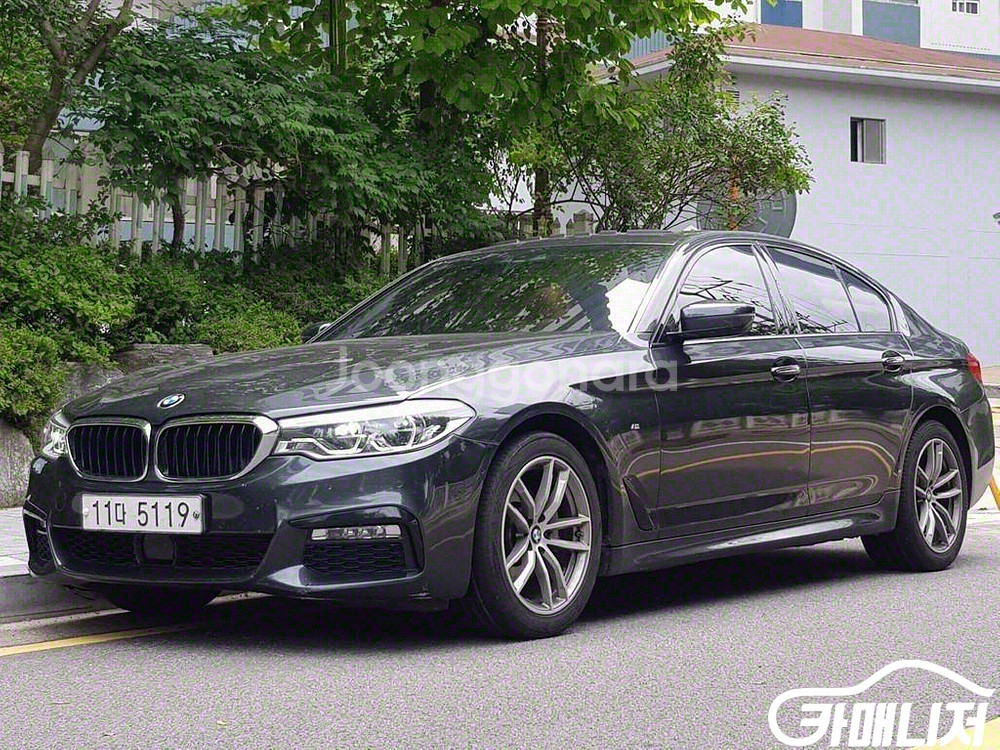 [BMW]5시리즈 (G30) 530i M 스포츠 (5인--1