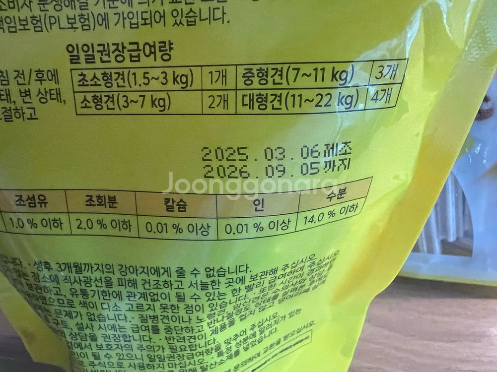 강아지--3