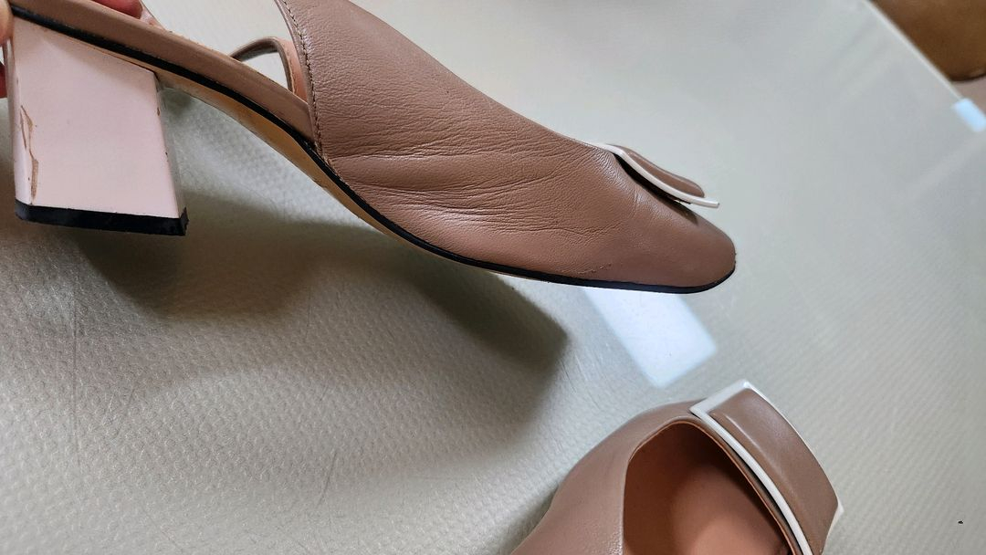 나무하나 240 이미지