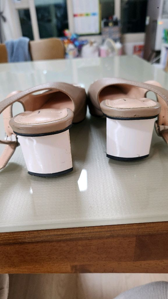 나무하나 240 이미지