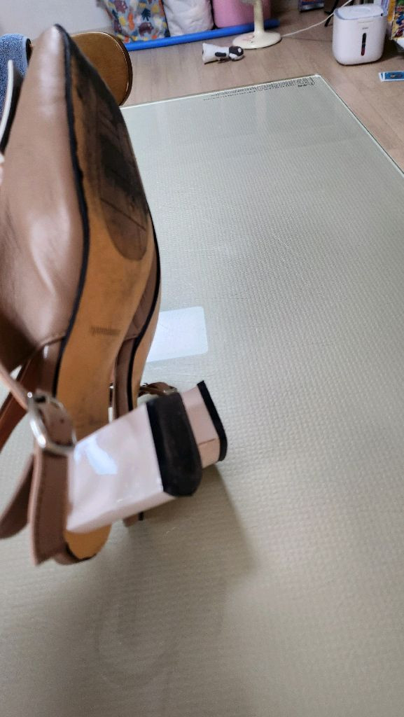 나무하나 240 이미지