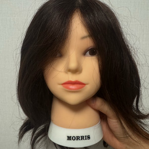 모리스 통가발