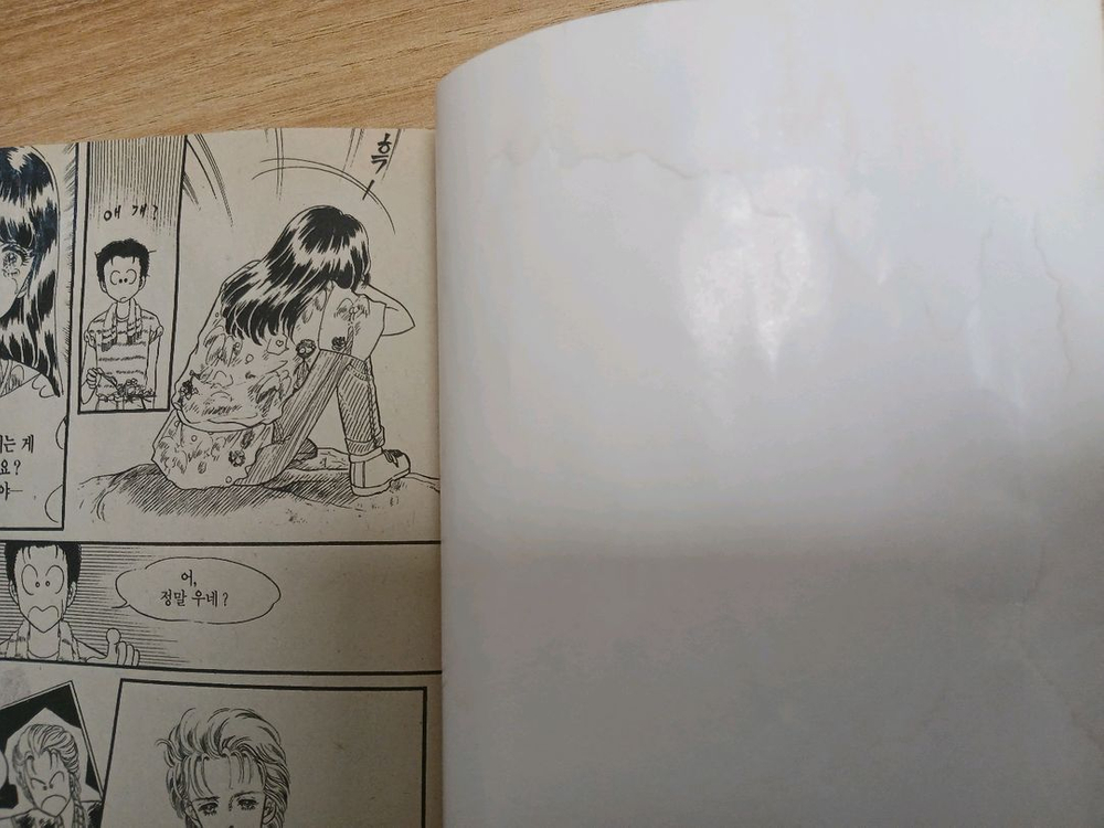 나나 별책부록 총8권 일괄 인어공주를 위하여9,14권--8