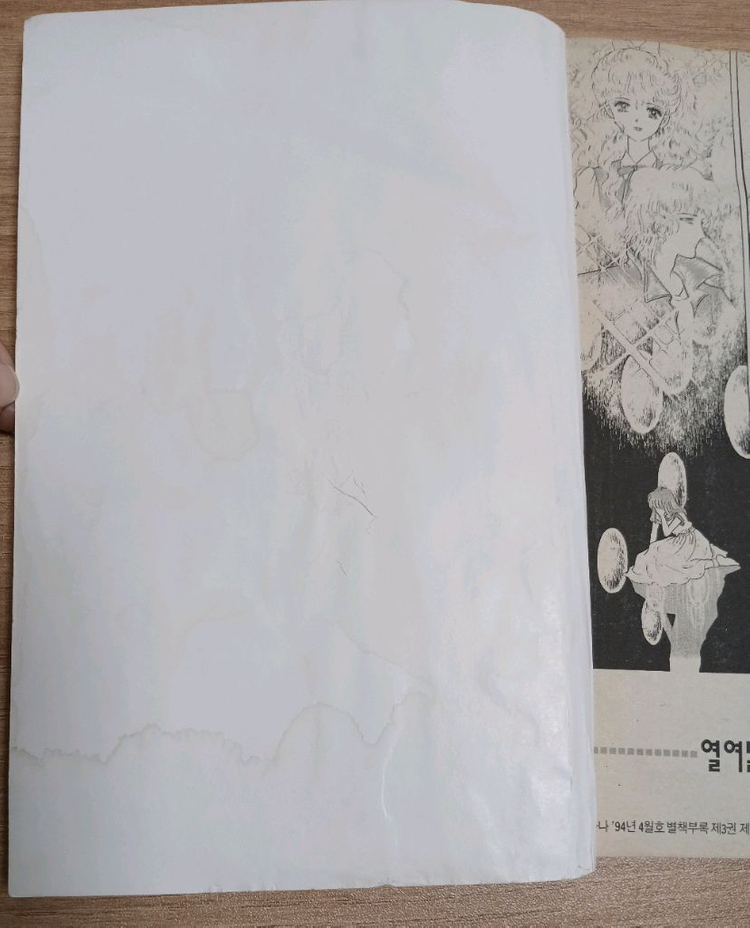 나나 별책부록 총8권 일괄 인어공주를 위하여15,18권--8