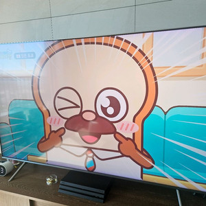 삼성 65인치 QLED TV QN65Q6FNA