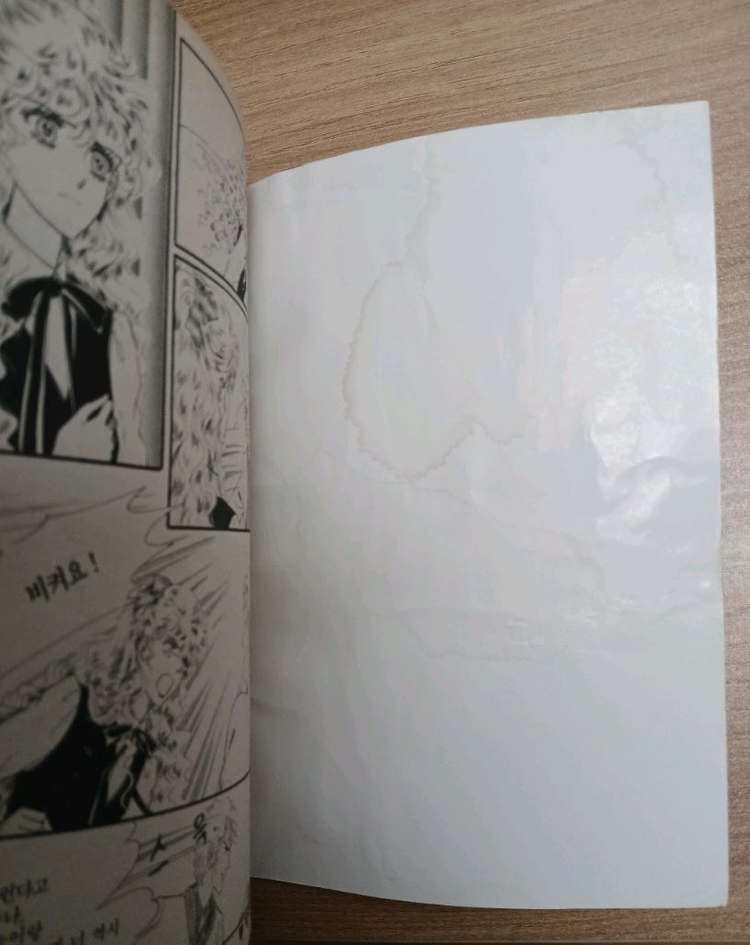 나나 별책부록 총8권 일괄 인어공주를 위하여19,20권--9