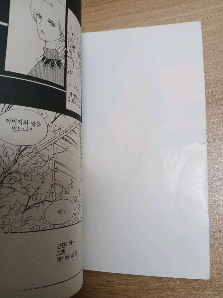 나나 별책부록 총8권 일괄 인어공주를 위하여19,20권--5