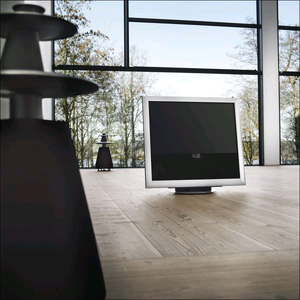 뱅앤올룹슨(Bang & Olufsen) 베오비전9+