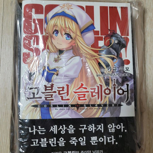 고블린 슬레이어 만화책 소설책