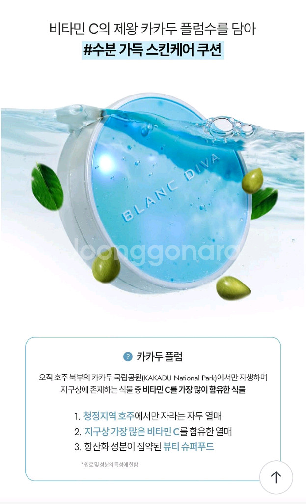 블랑디바 워터벨벳 쿠션(21 바닐라)--2