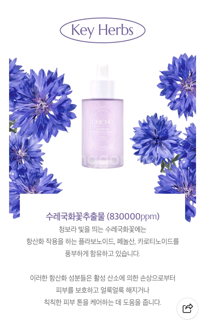 시초 콘플라워 브라이트닝 세럼--1