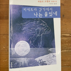 피에트라 강가에서 나는 울었네 - 파울로 코엘료