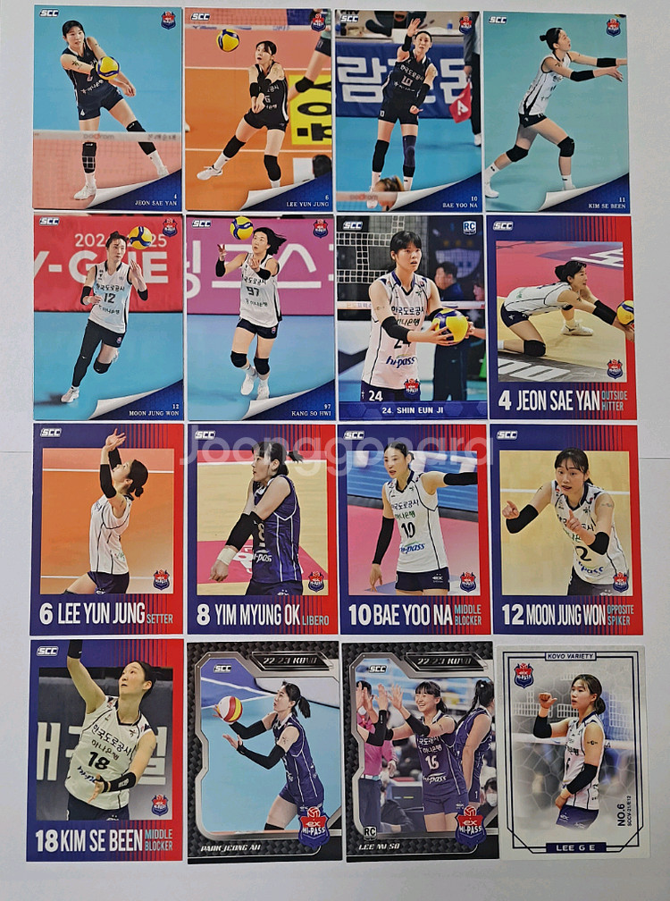 코보카드 한국도로공사 인기선수+루키 베이스카드 16장--0
