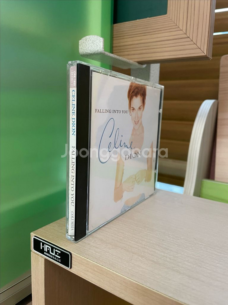 [CD] 셀린 디옹 Falling into you--2