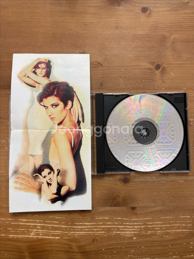 [CD] 셀린 디옹 Falling into you--3