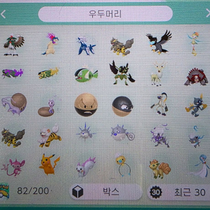 포켓몬 우두머리 이로치 분양