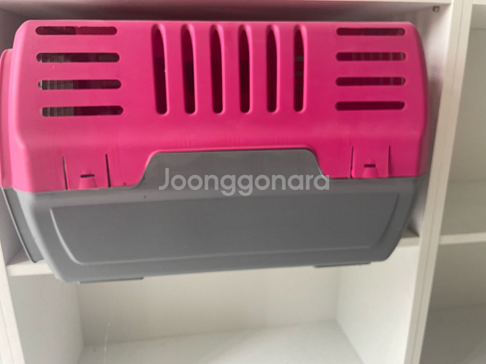 이동장--0