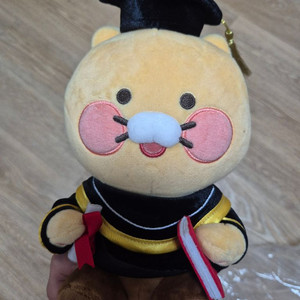 춘식이 졸업인형 새상품