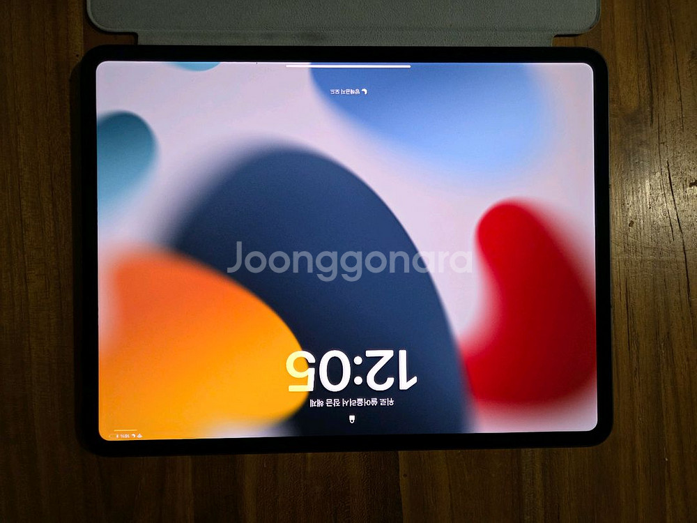 아이패드 프로 13(M4) 512GB 셀룰러 (애케플)--0