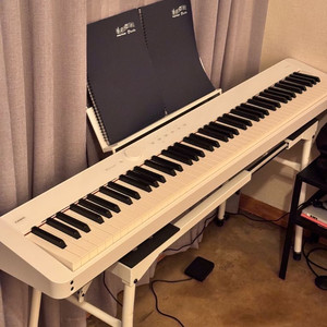 카시오 디지털 피아노 px s-1100