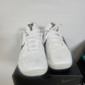 코비6 260 팝니다