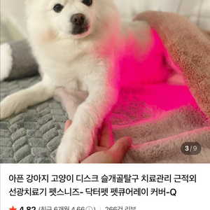 닥터펫 펫큐어레이 Q