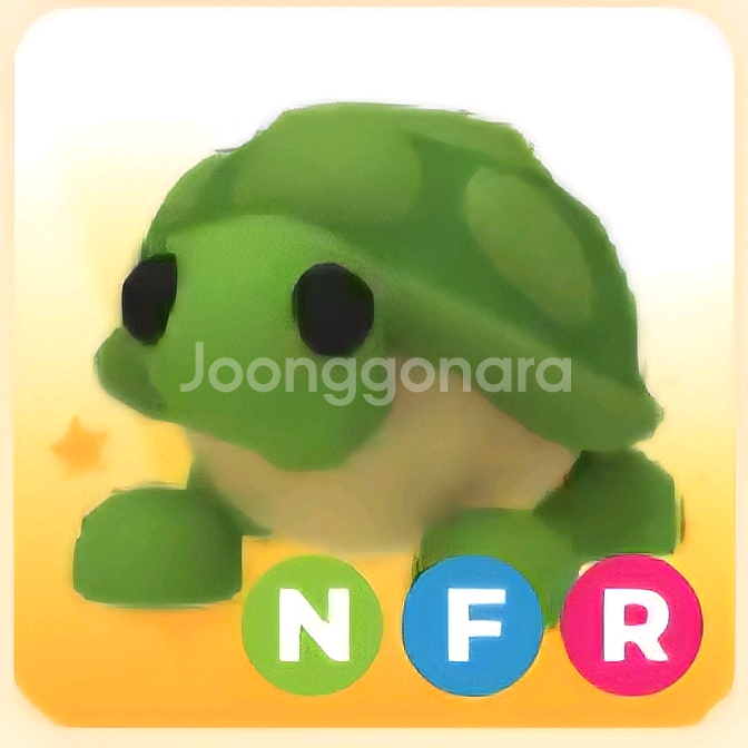 입양하세요 NFR 거북 (네거북)--0