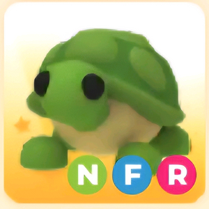 입양하세요 NFR 거북 (네거북)