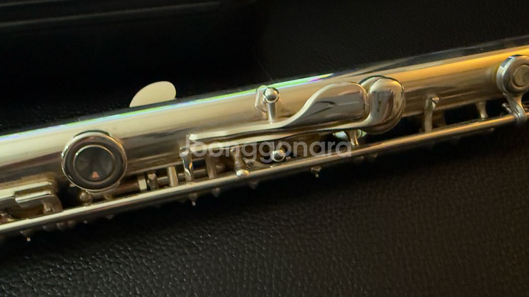 YAMAHA F100S2 야마하 플룻--5