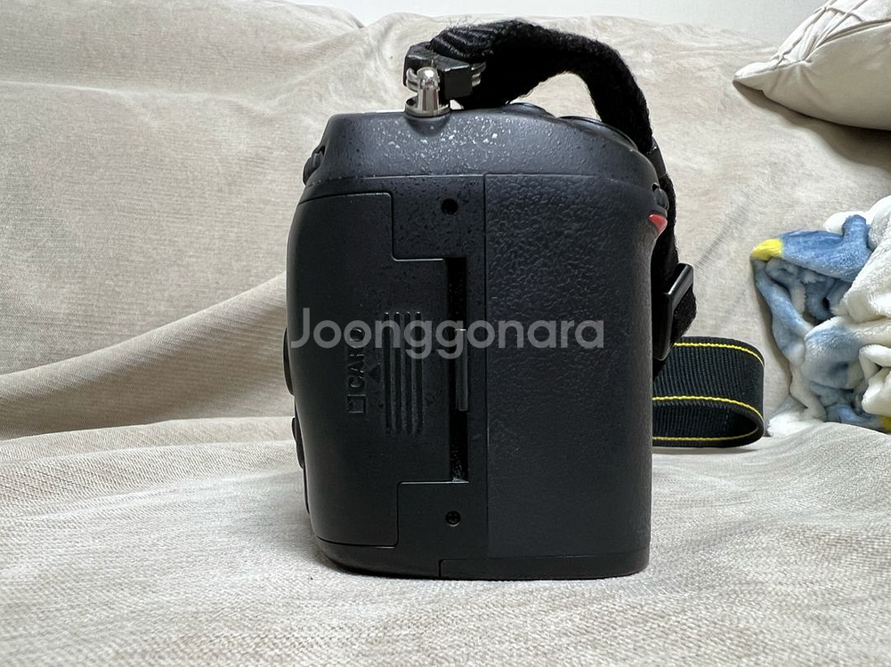 니콘 D7000--4