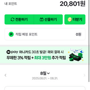 네이버페이20801