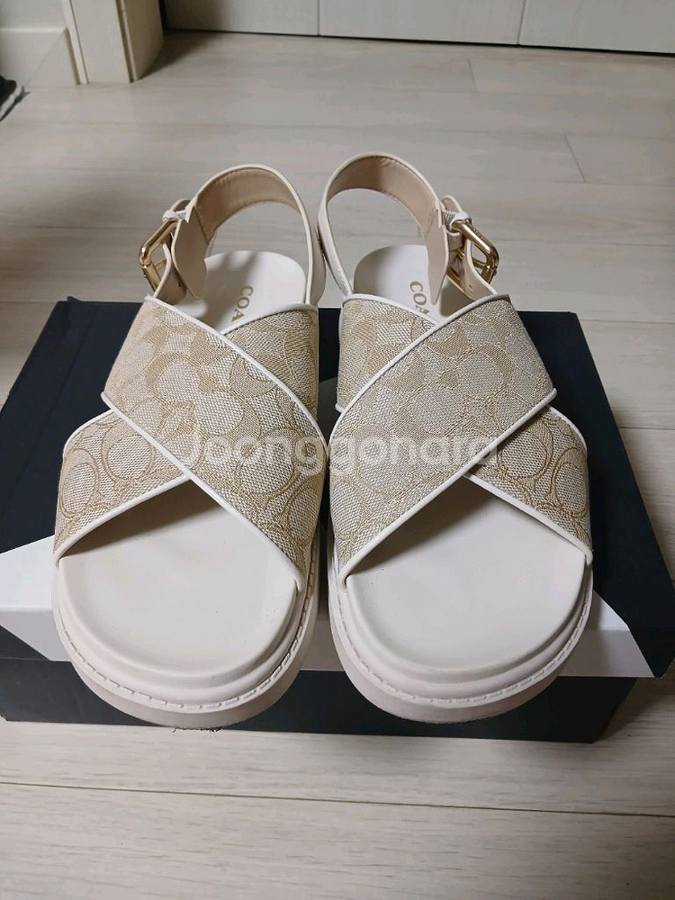 코치샌들(245mm)--0