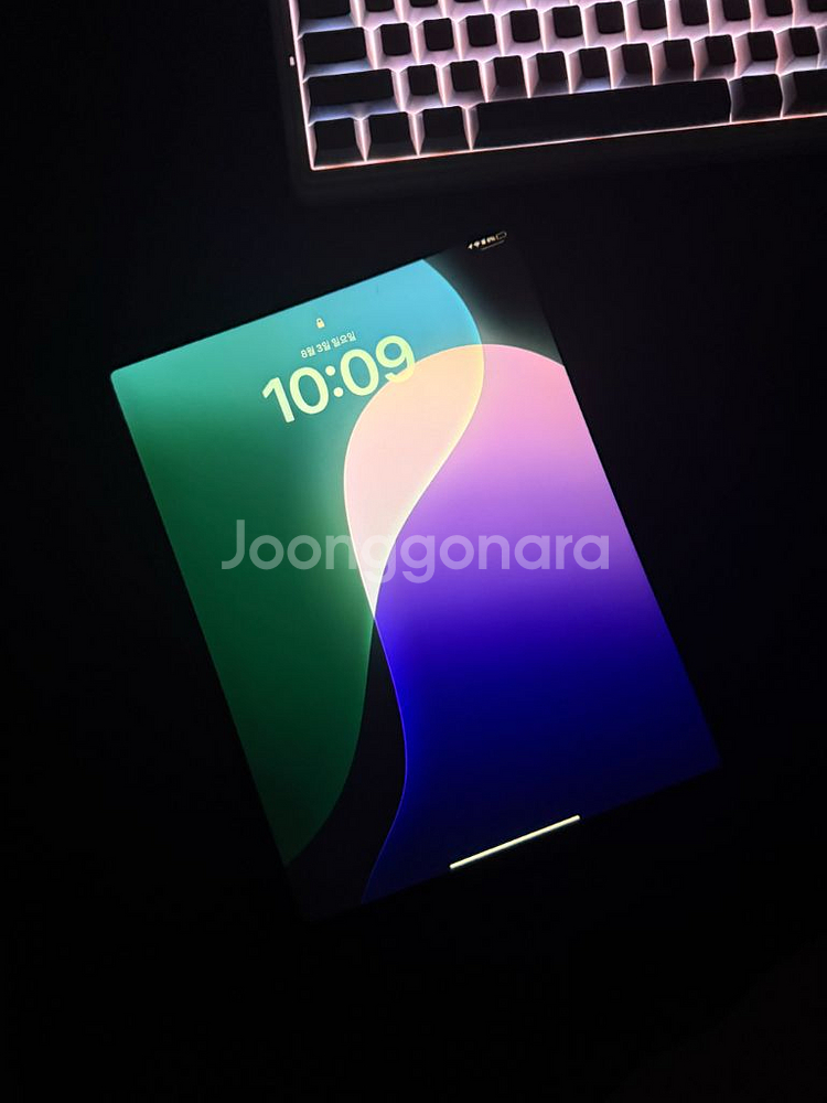 아이패드 pro 4세대 12.9 inch 128GB--0