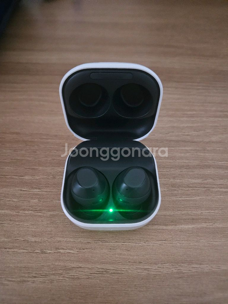 삼성 갤럭시 버즈 FE 그라파이트--0