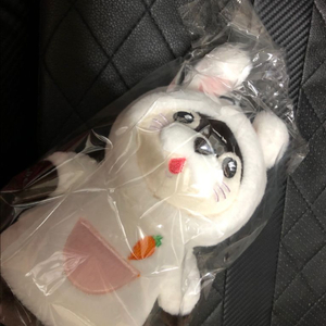 달수 인형