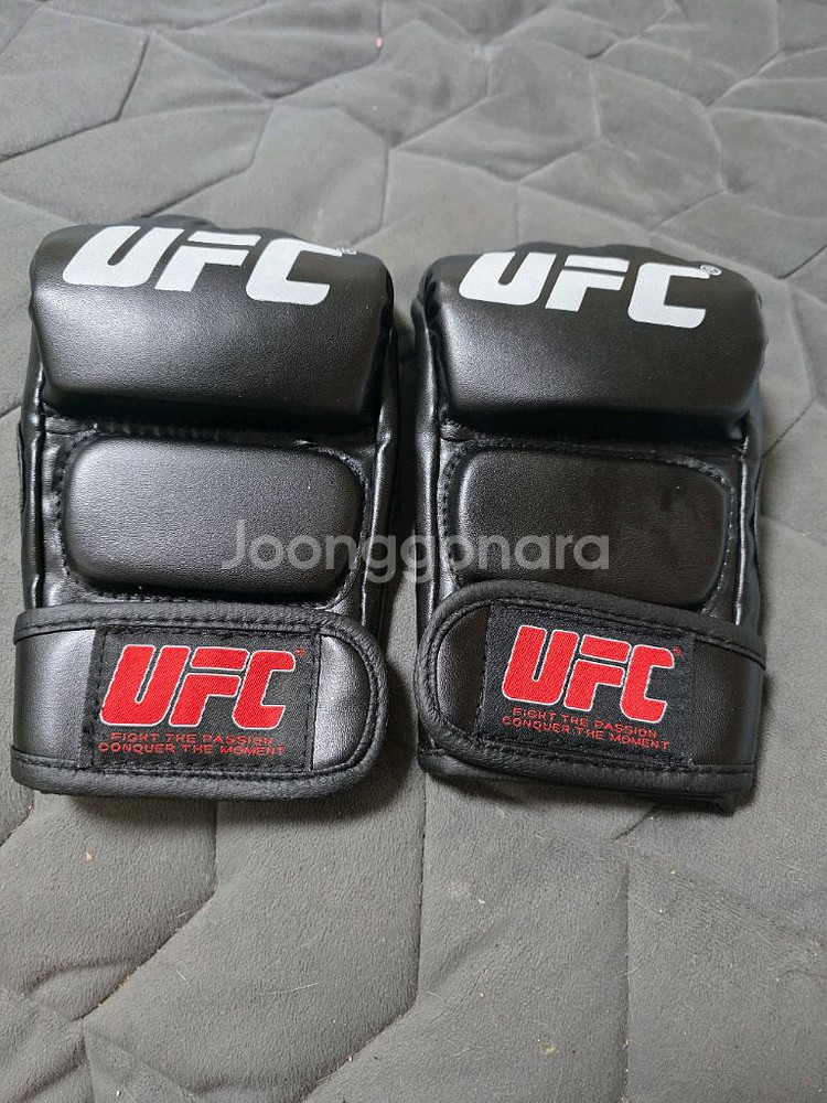 ufc글러브--1