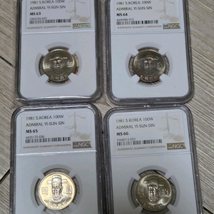 1981년 100원 MS63,64,65,66등급