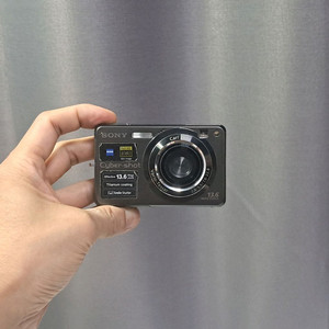 티타늄 에디션! 소니 사이버샷 DSC-W300 디카