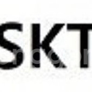 skt 데이터쿠폰 2GB