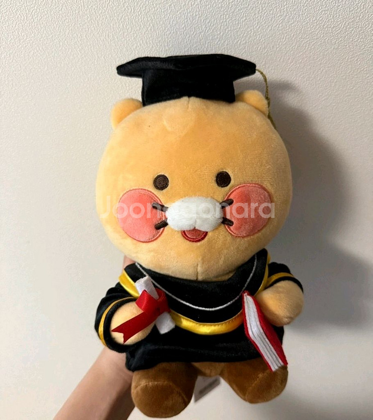 춘식이 졸업식 텍그대로!--0
