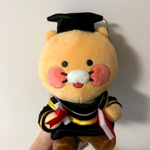 춘식이 졸업식 텍그대로!