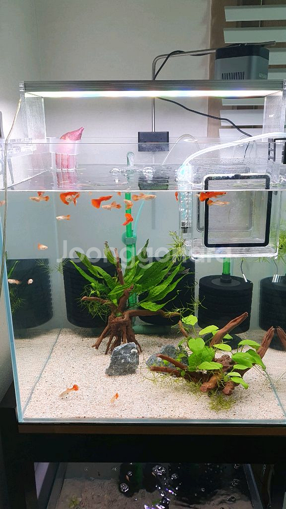 트원스타450e nas450 led등 판매2,000원--0