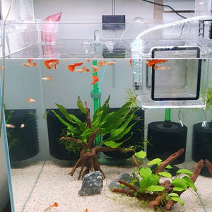 트원스타450e nas450 led등 판매2,000원