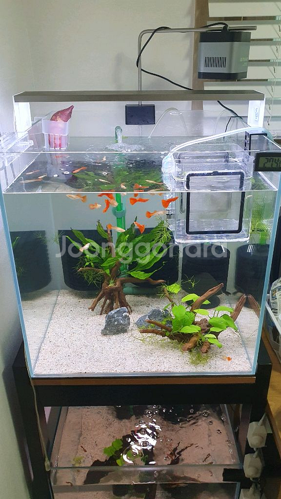 트원스타450e nas450 led등 판매2,000원--5